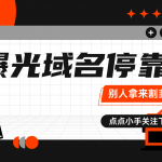 域名停靠广告套利赚差价项目，前一段时间有人拿这个收徒弟的项目，今天来拆解一下-星火职栈