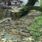 视频号创作者分成计划：100%过原创，制作爆款内容 视频号精细化爆款赛道思路拆解-星火职栈