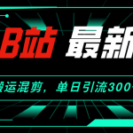 【2024.8.28更新】哔哩哔哩引流创业粉全套教程 搬运混剪 玩法-星火职栈
