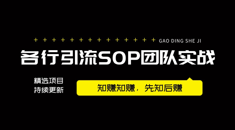 首套系统打粉项目课程,手把手各行引流SOP团队实战教程