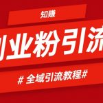 2024全域引流创业粉实操玩法，自用引流网创粉方法-星火职栈