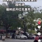 2024抖音起号实操拆解,起号必备 流量原理 获取数据 心得分享-星火职栈