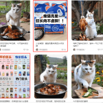 小红书上2个月涨粉2万+ 的猫咪做饭视频  五分钟教会你-星火职栈