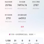 小红书电商项目全流程拆解，0基础小白也可以看懂，全文7000字的实操复盘-星火职栈