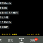 12月搭子变现新玩法大全套（带最新后台搭建及搭子模板生成器）【源码+教程】-星火职栈