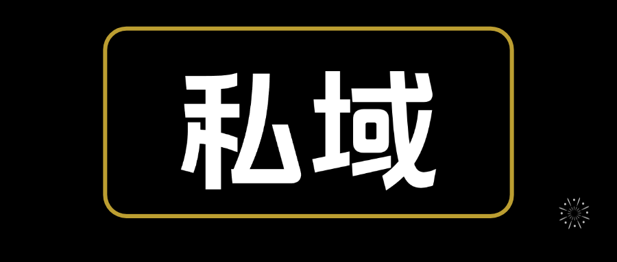 【2024.12.24更新】私域0基础入门，全面掌握私域运营知识-星火职栈