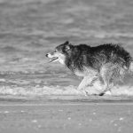 信息差永远存在，你认为的常识是另外13亿人的盲区-星火职栈